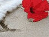 Статья Гадание на молоке и гуаши