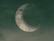 Рассказ Пропавшая Невеста 7 часть от Вики