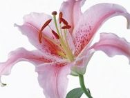 Поговори с судьбой 1 часть от Вики