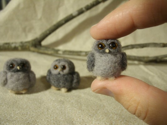 tiny_trio_of_tubby_owls_by_jessiedockins-d5jhk92