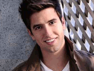 Блестяшки Logan Henderson от Аннет