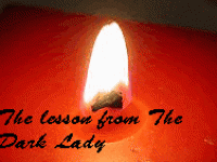 •The lesson from The Dark Lady•