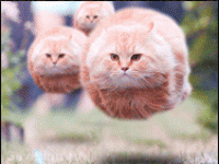 Много крови + заказ Ками:3