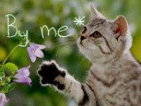 ▪black and white▪