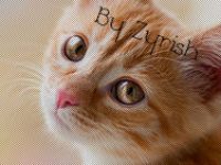 Авки ч/б (ну вроде XD).