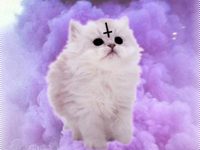 Satanic cat by Lady Mons†er <З