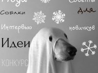 All about everything 1 выпуск