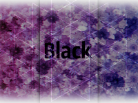 Black AVS