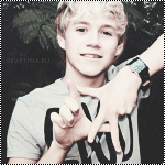 Niall-Horan-one-direction-25091328-500-500