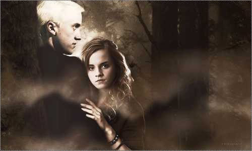 dramione-5