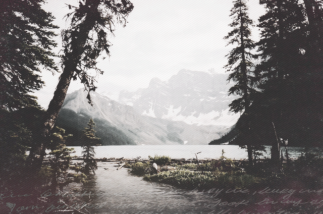 forest-lake-mountains-nature-Favim