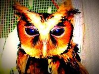 Журнал ”Owl House” выпуск № 2