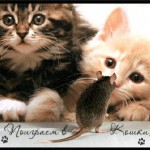 Аватар (lerochka314)