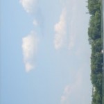 Аватар (556cd)