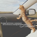 Аватар (*4oKoLaDka*)