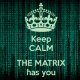 Логотип группы The Matrix Матрица. Matrix has you