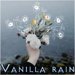 Логотип группы Vanilla rain