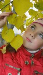 0-12-4ee5aca7cb493339f84c1a6d7546768d7e18c5f5