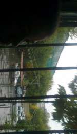 foto0144-6cba553836108b4e8b43fc0b6a9c6f98e934d997