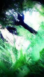 getimage-9ad858c5857caf69efb07c7ab6cd7f754e9628ef