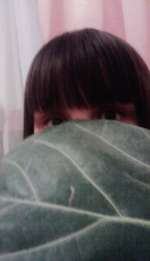 izobrazhenie-066-73b00976a283619fb29ee7671f9d5e52f24c829c