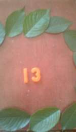 0159-e3228e7850213e757f80b96b2c3dbd55149d9094