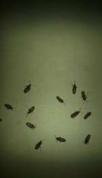 110720001797-b3cd9dbeb02bd78dd25137dc0cc68f67dbc04a0b