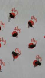 img_2290-1b9f721327076d31cb4f744e3a270865a8f7e055