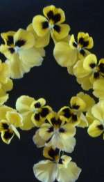 tyu-776922583fe362b5a524301f6a237833206011ac