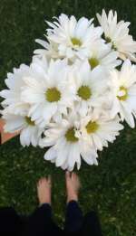 ya6e5rnag7a-f82565f9e6a02fa292db49e43db01468953099eb