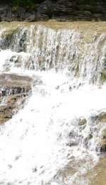 dsc_0850-34bb9427ace739ec4a4a9945c8e03dedc1eabd08