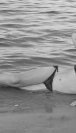 dscn3818-4026d141eb349798e2aeaaf6236871631f0155ff