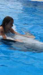 iiin-5bf3fabd1ab164b22630687306f34934c9c088bd