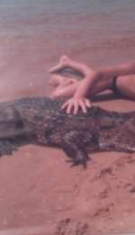 img_20130806_161850-3707b1957019155bdb1bf18f07244757f61c1492