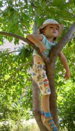 262-7b43d03712981ec1197d87d01a46ab14ded65537