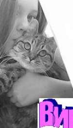 img11189-38642e5b2324f4e5b5277591052cf61ae2bb0de5