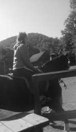 foto0197-679447356b440b9166385586922ae4353fad0ab9