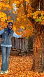 payiz-06ccc11efb4935f509e3fbb76dfeabead7ddec43