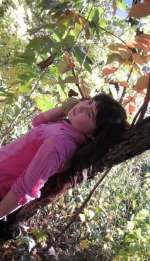 photo1177-bc7763c91ec3d24ed0bbd6106a301f31544e7753