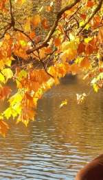 u1958f50969m-65395bf1e8cebd9bfb3b5fff704421b6a93769b2