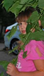 dsc_0484-0ac8e09f59f4db750ea1d07f2c3080391e30cfb1