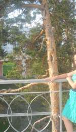 dscn1762-201c6f2ee2a4f084117edefa191c5775c084a5b8