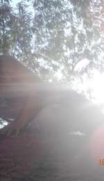 dscn4576-8ea1603a33200f973e50003d3ec600e399eaccdf