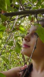 h1930189-a7fabf276c48b4a26c776eb3da1386bf62ce6ff8