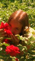 KONICA MINOLTA DIGITAL CAMERA