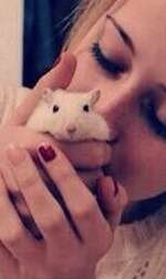 image-efb37cfb8e1bbd6fe5758a31fc45a7533ee05f19