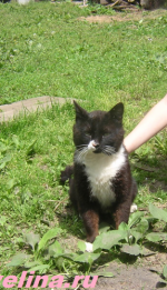 z-b-mfcz-dc2eed26a3f585e02a8fa8bdd0c4e101e8be2e79