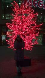 foto001-bd28ba51fb6253d1e1e9c298d8f46422d3589443