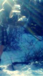 x_b388fbcb-a9da0cd4230810ff2db12a4a0bed2dabf0712f9b