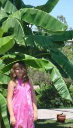 dsc01187-775120ff734f8257851130a1e248ebd8100dc406